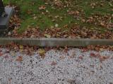 image of grave number 232021